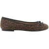 Paris - Praline Cheetah